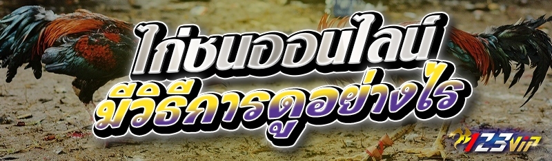 ไก่ชนออนไลน์ มีวิธีการดูอย่างไร 